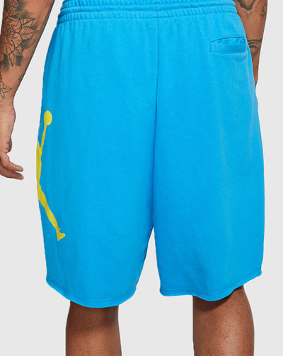 Jordan Jumpman Fleece Shorts